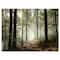Designart - Light in Dense Fall Forest with Fog - Landscape Art Print Canvas